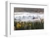 Elevated view of aspen and cottonwood trees in morning mist along Snake River, Grand Teton NP, WY-Adam Jones-Framed Photographic Print