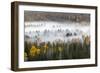 Elevated view of aspen and cottonwood trees in morning mist along Snake River, Grand Teton NP, WY-Adam Jones-Framed Photographic Print