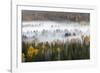 Elevated view of aspen and cottonwood trees in morning mist along Snake River, Grand Teton NP, WY-Adam Jones-Framed Photographic Print