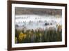 Elevated view of aspen and cottonwood trees in morning mist along Snake River, Grand Teton NP, WY-Adam Jones-Framed Photographic Print