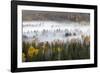 Elevated view of aspen and cottonwood trees in morning mist along Snake River, Grand Teton NP, WY-Adam Jones-Framed Photographic Print