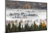 Elevated view of aspen and cottonwood trees in morning mist along Snake River, Grand Teton NP, WY-Adam Jones-Mounted Photographic Print