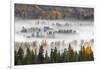 Elevated view of aspen and cottonwood trees in morning mist along Snake River, Grand Teton NP, WY-Adam Jones-Framed Photographic Print