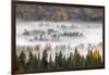 Elevated view of aspen and cottonwood trees in morning mist along Snake River, Grand Teton NP, WY-Adam Jones-Framed Photographic Print