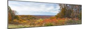 Elevated view of autumn trees, Brown County State Park, Brown County, Indiana, USA-null-Mounted Photographic Print