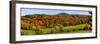 Elevated view of autumn trees on rolling hill, Iron Hill, Quebec, Canada-null-Framed Photographic Print