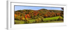 Elevated view of autumn trees on rolling hill, Iron Hill, Quebec, Canada-null-Framed Photographic Print