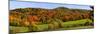 Elevated view of autumn trees on rolling hill, Iron Hill, Quebec, Canada-null-Mounted Photographic Print