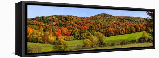 Elevated view of autumn trees on rolling hill, Iron Hill, Quebec, Canada-null-Framed Stretched Canvas