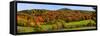Elevated view of autumn trees on rolling hill, Iron Hill, Quebec, Canada-null-Framed Stretched Canvas
