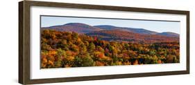 Elevated view of autumn trees on rolling hill, West Bolton, Quebec, Canada-null-Framed Photographic Print