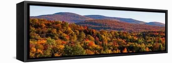 Elevated view of autumn trees on rolling hill, West Bolton, Quebec, Canada-null-Framed Stretched Canvas
