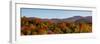 Elevated view of autumn trees on rolling hill, West Bolton, Quebec, Canada-null-Framed Photographic Print