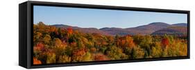 Elevated view of autumn trees on rolling hill, West Bolton, Quebec, Canada-null-Framed Stretched Canvas