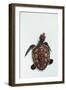 Elevated view of Baby Sea turtle, Old Hegg Turtle Sanctuary, Park Bay, Bequia, Saint Vincent And...-null-Framed Photographic Print