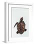 Elevated view of Baby Sea turtle, Old Hegg Turtle Sanctuary, Park Bay, Bequia, Saint Vincent And...-null-Framed Photographic Print