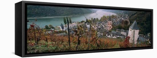 Elevated View of Bacharach and the Rhine River in Autumn, Rhineland-Palatinate, Germany-null-Framed Stretched Canvas