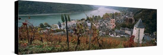 Elevated View of Bacharach and the Rhine River in Autumn, Rhineland-Palatinate, Germany-null-Stretched Canvas