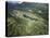 Elevated View of Banff National Park, Canada-Robert Harding-Stretched Canvas