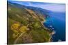 Elevated view of Big Sur coastline, California, USA-null-Stretched Canvas