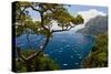 Elevated view of blue waters of the City of Capri, an Italian island off the Sorrentine Peninsul...-null-Stretched Canvas