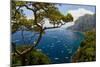 Elevated view of blue waters of the City of Capri, an Italian island off the Sorrentine Peninsul...-null-Mounted Photographic Print