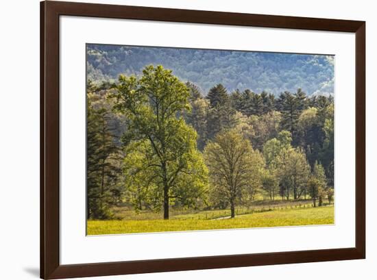 Elevated view of Cades Cove in the morning, Great Smoky Mountains National Park, Tennessee-Adam Jones-Framed Photographic Print