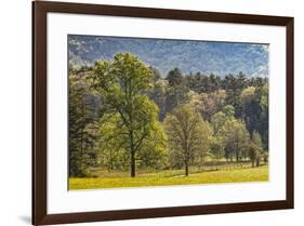 Elevated view of Cades Cove in the morning, Great Smoky Mountains National Park, Tennessee-Adam Jones-Framed Photographic Print