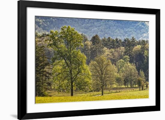 Elevated view of Cades Cove in the morning, Great Smoky Mountains National Park, Tennessee-Adam Jones-Framed Photographic Print