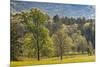 Elevated view of Cades Cove in the morning, Great Smoky Mountains National Park, Tennessee-Adam Jones-Mounted Photographic Print