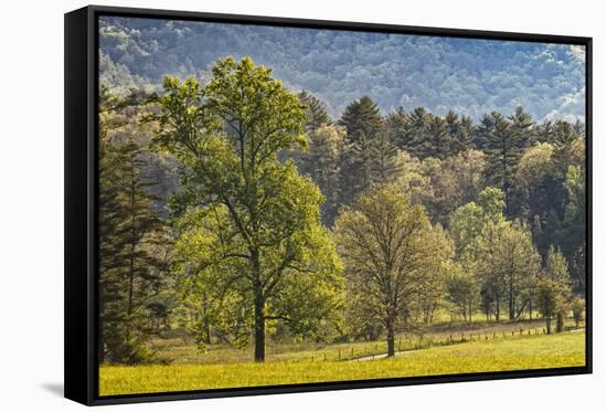 Elevated view of Cades Cove in the morning, Great Smoky Mountains National Park, Tennessee-Adam Jones-Framed Stretched Canvas