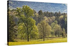 Elevated view of Cades Cove in the morning, Great Smoky Mountains National Park, Tennessee-Adam Jones-Stretched Canvas