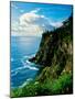 Elevated view of Cape Meares, Oregon Coast, Tillamook County, Oregon, USA-null-Mounted Photographic Print