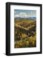 Elevated View of Fall Colors from Grassy Ridge Overlook, North Carolina-Adam Jones-Framed Photographic Print