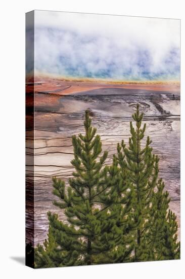Elevated view of Grand Prismatic spring and colorful bacterial mat, Yellowstone National Park, WY-Adam Jones-Stretched Canvas