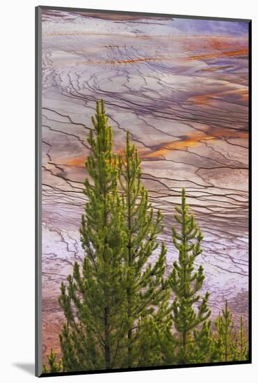 Elevated view of Grand Prismatic spring and colorful bacterial mat, Yellowstone National Park, WY-Adam Jones-Mounted Photographic Print