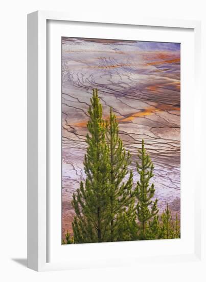 Elevated view of Grand Prismatic spring and colorful bacterial mat, Yellowstone National Park, WY-Adam Jones-Framed Photographic Print