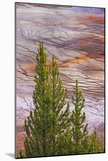 Elevated view of Grand Prismatic spring and colorful bacterial mat, Yellowstone National Park, WY-Adam Jones-Mounted Photographic Print