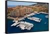Elevated view of harbor in the Monte-Carlo, in the Principality of Monaco, Western Europe on the...-null-Framed Stretched Canvas
