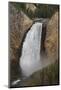 Elevated View of Lower Falls and Viewing Platform with Visitors, Yellowstone National Park, Wyoming-Eleanor Scriven-Mounted Photographic Print