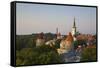 Elevated View of Lower Old Town with Oleviste Church in the Background-Doug Pearson-Framed Stretched Canvas