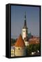 Elevated View of Lower Old Town with Oleviste Church in the Background-Doug Pearson-Framed Stretched Canvas