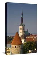 Elevated View of Lower Old Town with Oleviste Church in the Background-Doug Pearson-Stretched Canvas