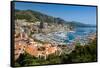 Elevated view of Monte-Carlo and harbor in the Principality of Monaco, Western Europe on the Med...-null-Framed Stretched Canvas