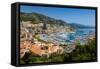 Elevated view of Monte-Carlo and harbor in the Principality of Monaco, Western Europe on the Med...-null-Framed Stretched Canvas