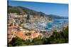 Elevated view of Monte-Carlo and harbor in the Principality of Monaco, Western Europe on the Med...-null-Stretched Canvas