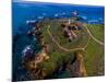 Elevated view of Piedras Blancas Lighthouse, San Simeon, California, USA-null-Mounted Photographic Print