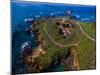 Elevated view of Piedras Blancas Lighthouse, San Simeon, California, USA-null-Mounted Photographic Print