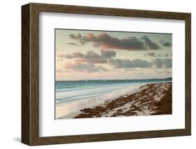 Elevated view of Pink Sands Beach, Dunmore Town, Harbour Island, Eleuthera Island, Bahamas-null-Framed Photographic Print