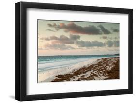 Elevated view of Pink Sands Beach, Dunmore Town, Harbour Island, Eleuthera Island, Bahamas-null-Framed Photographic Print